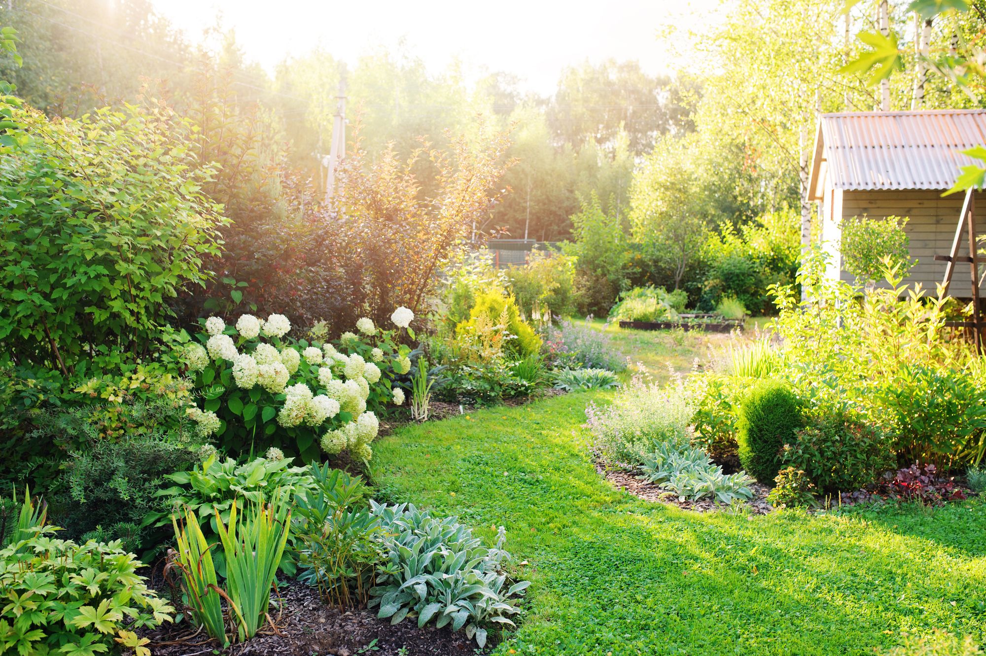 garten sommer Startseite