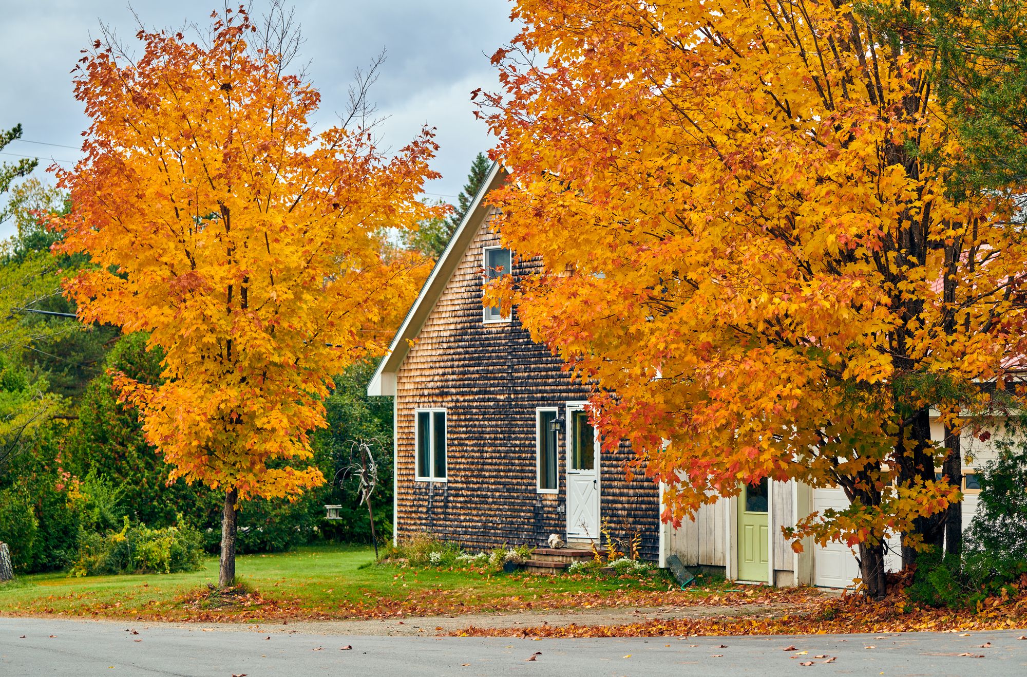 herbst haus Startseite